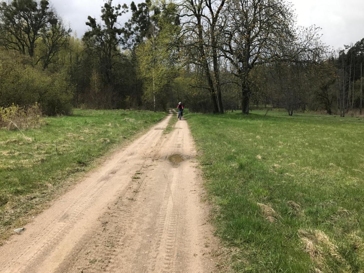 Na Skraju Puszczy Villa Hajnówka Kültér fotó