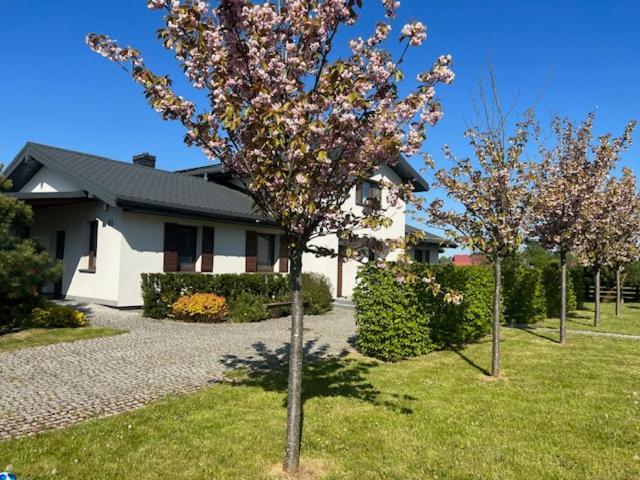 Na Skraju Puszczy Villa Hajnówka Kültér fotó